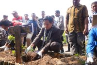 Untuk Pengembangan Wisata dan Lingkungan, Desa Cemara Kulon Gunakan PLTS/Dok Kamaludin