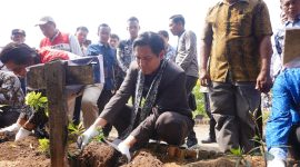 Untuk Pengembangan Wisata dan Lingkungan, Desa Cemara Kulon Gunakan PLTS/Dok Kamaludin