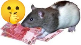Dok Foto Ilustrasi